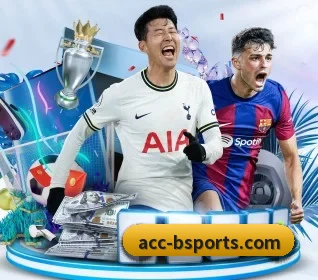 用内容积累长期价值 | bsports
